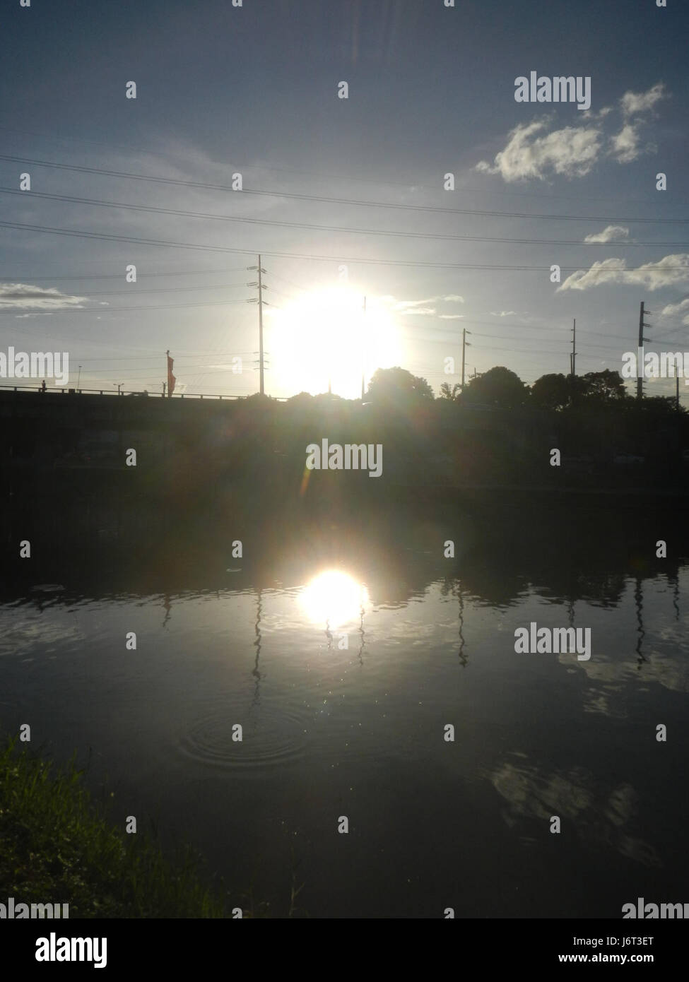 Der Marikina River Park zeigt Statuen von Carabaos, einem traditionellen philippinischen Symbol, die die Bedeutung dieser Tiere in der Kultur und Landwirtschaft der Philippinen hervorheben. Stockfoto