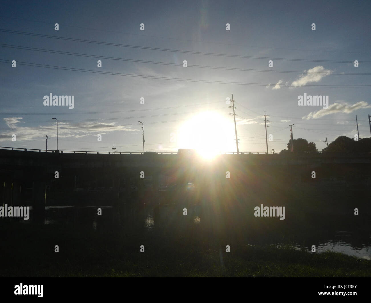 Der Marikina River Park auf den Philippinen zeigt Carabao-Statuen als Teil seiner Landschaft, die die landwirtschaftliche Geschichte und kulturelle Symbolik der countryâ darstellen. Stockfoto