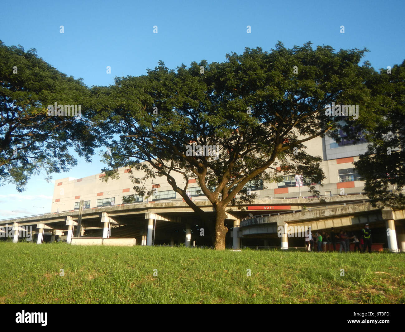 Ein Bild mit dem Titel '0939 Marikina River Park Carabaos Statues 1954' zeigt die Carabao Statuen im Marikina River Park auf den Philippinen. Diese Skulpturen, die 1954 installiert wurden, ehren den Karabao, das Nationaltier der Philippinen, und symbolisieren Stärke und Widerstandsfähigkeit. Stockfoto
