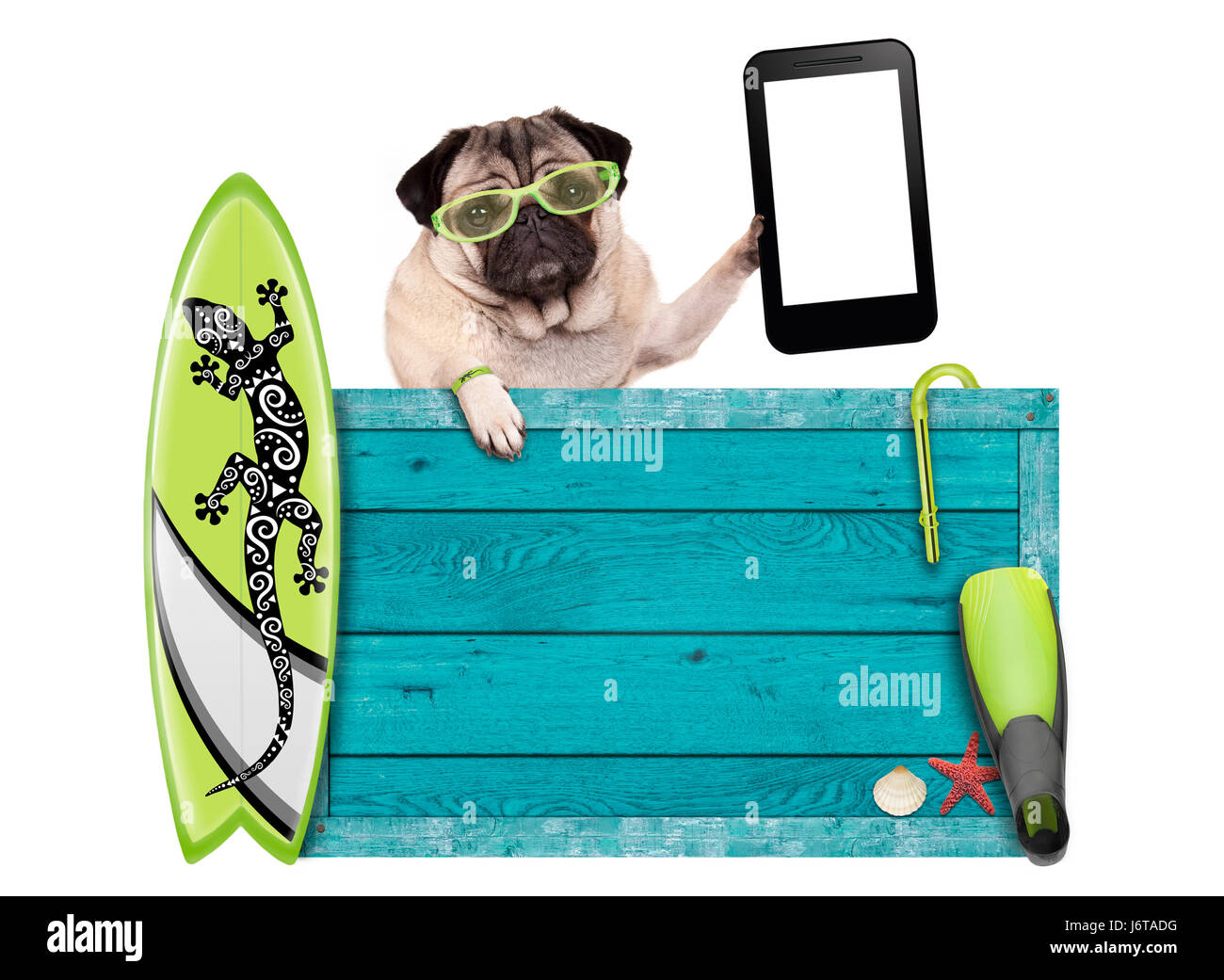 Mops Hund im Urlaub mit blauen Vintage Holz Strand Zeichen, Surfbrett und Handy / tablet, isoliert auf weißem Hintergrund Stockfoto