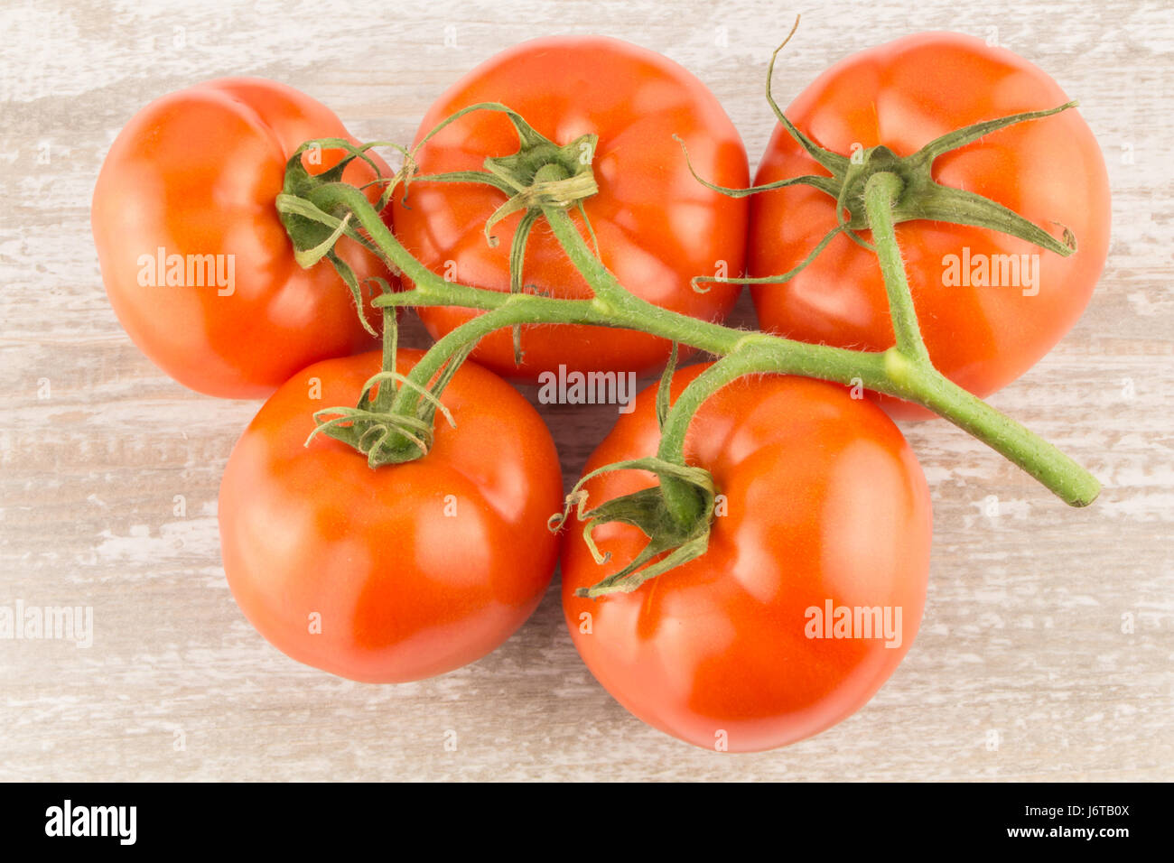 Tomaten auf einem weißen Hintergrund Holz hautnah Stockfoto