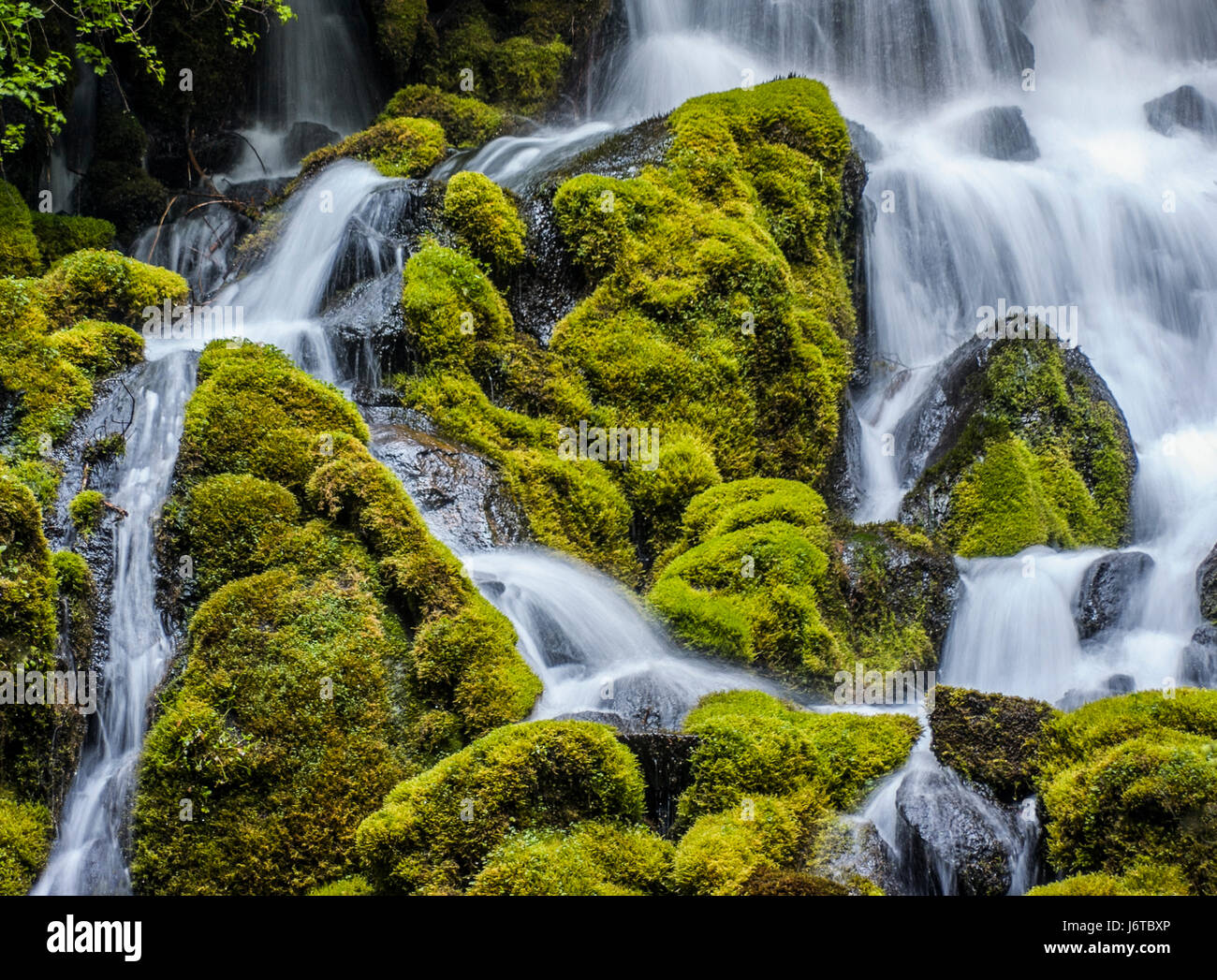 Die westlichen Staaten der USA hat viele schöne Wasserfälle, die sich in kurzen Wanderungen werden von den Straßen. Fern Creek im Norden Californai Stockfoto