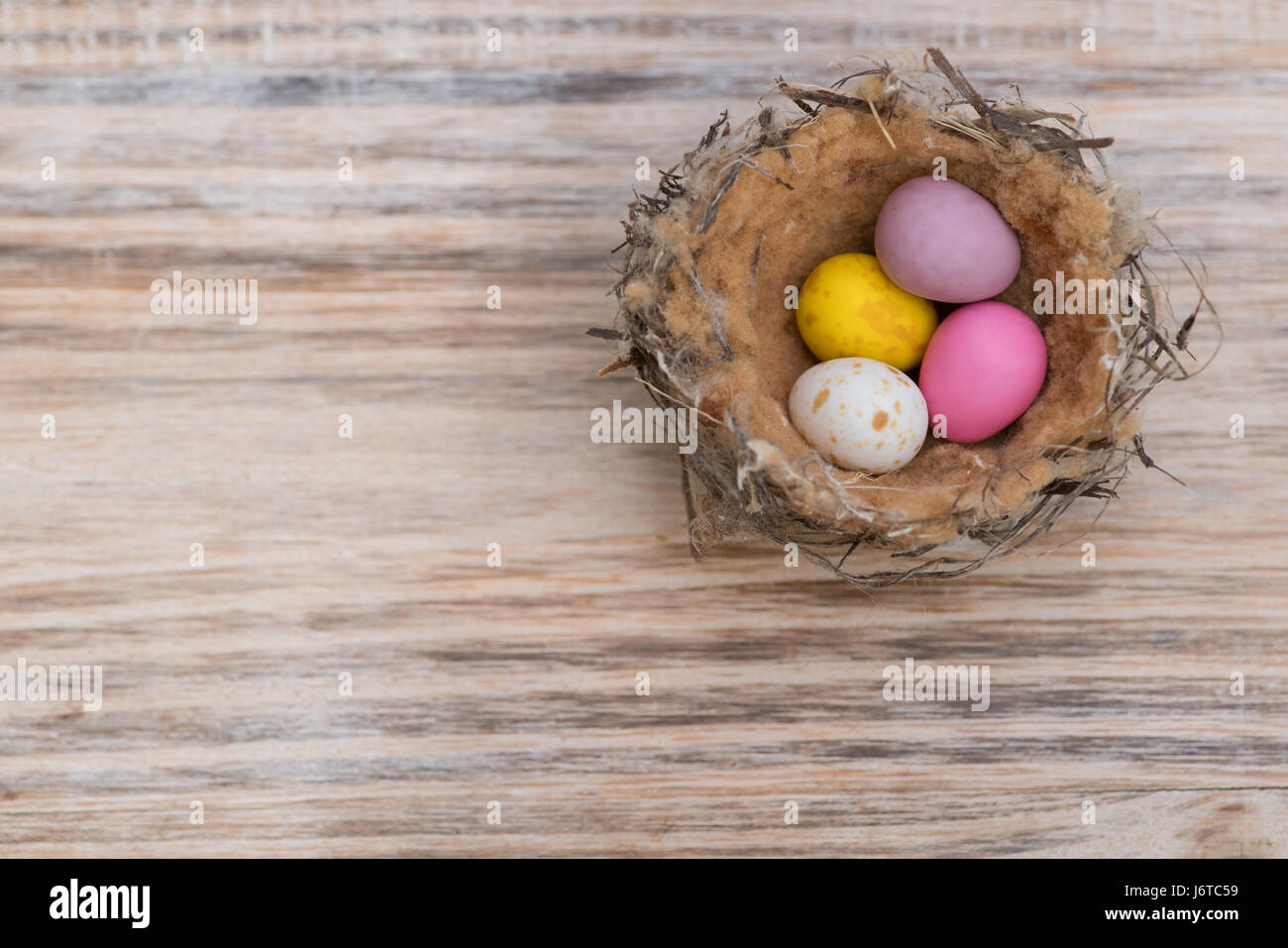 Kleiner Vogel-Nest mit bunten Ostereiern auf Holz Hintergrund Stockfoto