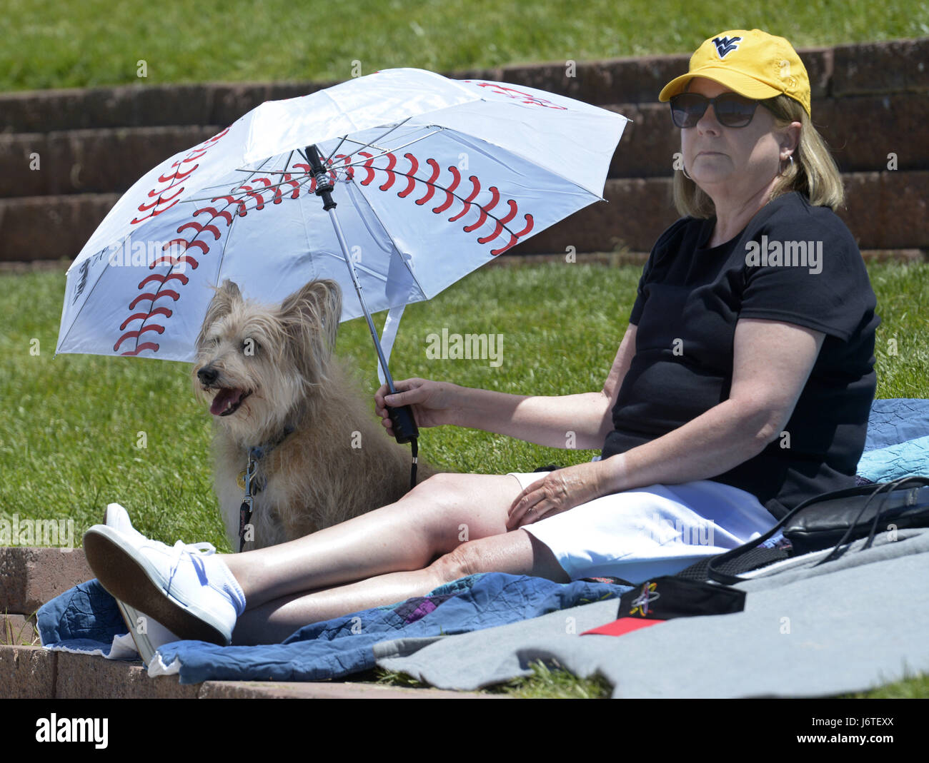 USA. 21. Mai 2017. Sport - Sue Holmes von Albuquerque hält Regenschirm Isotope über ihren Bruder Hund, Scrappy, in der Rinde in der Park-Event während des Spiels in Isotope Park auf Sonntag, 21. Mai 2017. Bildnachweis: Greg Sorber/Albuquerque Journal/ZUMA Draht/Alamy Live-Nachrichten Stockfoto