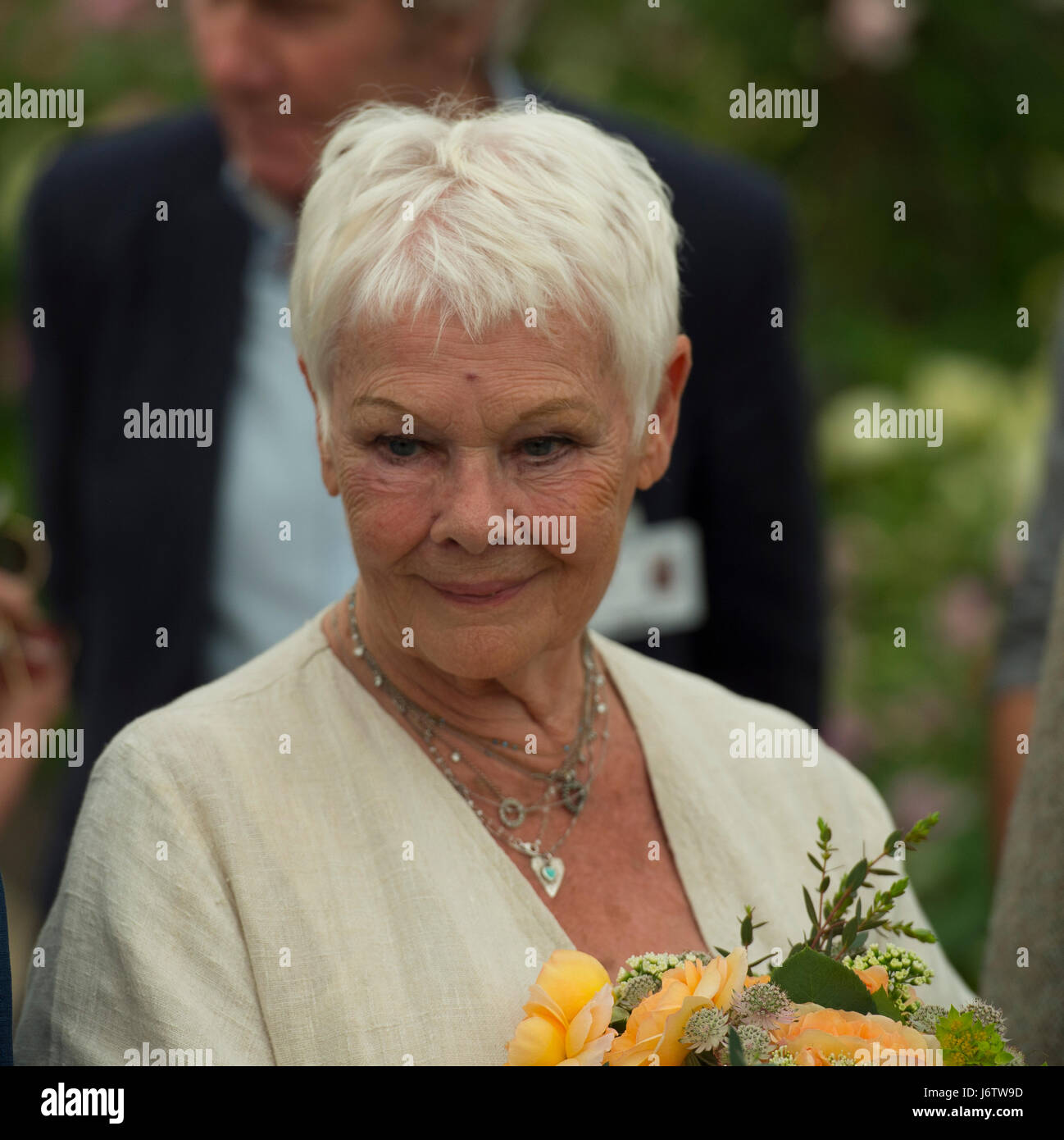 Das Royal Hospital Chelsea, London, UK. 22. Mai 2017. Der jährliche Höhepunkt der Gartenbau, die RHS Chelsea Flower Show Vorschau Kalendertag mit prominenten Besuch. Foto: David Austin Roses benennen Sie eine Rose nach Dame Judy Dench, mit der schönen Apricot farbigen Rose auf die Blumenschau ins Leben gerufen. Bildnachweis: Malcolm Park Leitartikel/Alamy Live-Nachrichten. Stockfoto