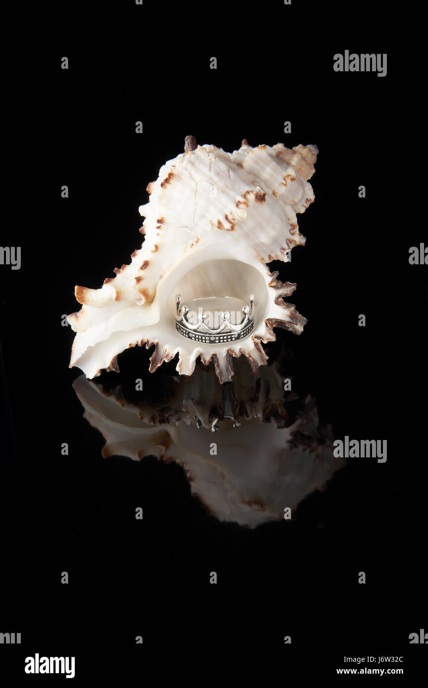 Ring Muschel Schmuck Schmuck Silber Krone schwarz dunkelhäutigen kohlschwarze tiefschwarz Stockfoto