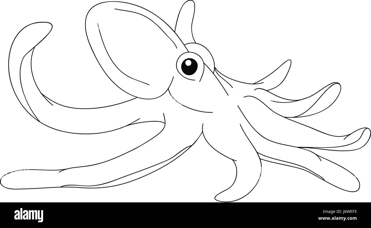 Abbildung zeichnen Octopus Cartoon Kunst isoliert Grafik Tier Wildfisch schwarz Stockfoto