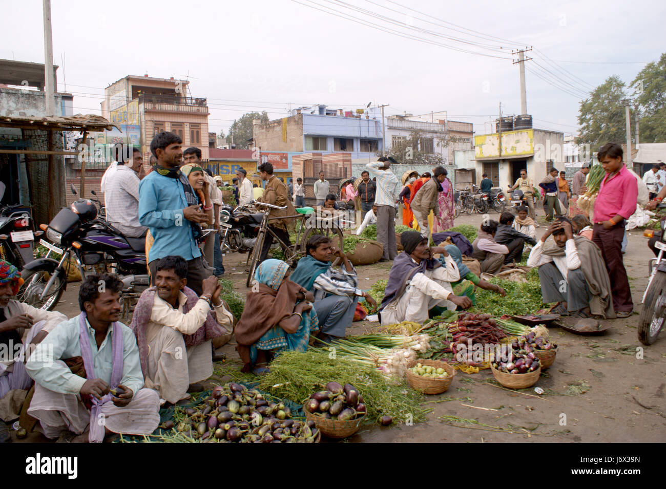 Gemüsemarkt in Kota, Indien Stockfoto