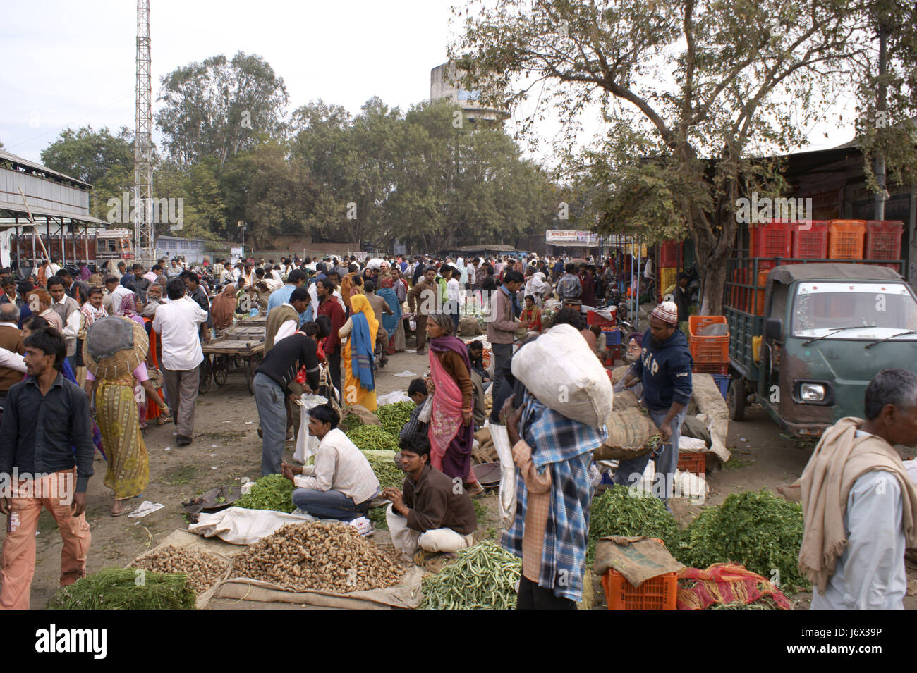 Gemüsemarkt in Kota, Indien Stockfoto