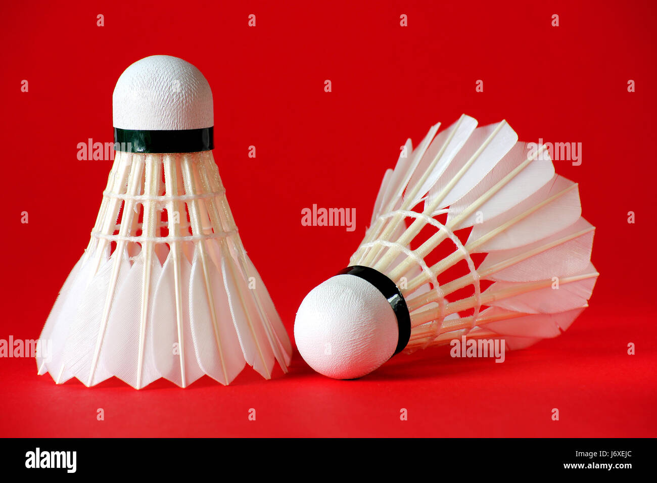 Badminton Federball Feder rot Sport Ball Ball des Sports sport leer  Europäischen Stockfotografie - Alamy