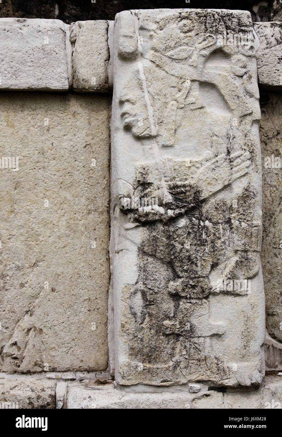 Basrelief Schnitzwerk mit eines Maya-Königs Pakal, präkolumbische Maya-Zivilisation, Palenque, Chiapas, Mexiko, Nordamerika. UNESCO-Weltkulturerbe Stockfoto