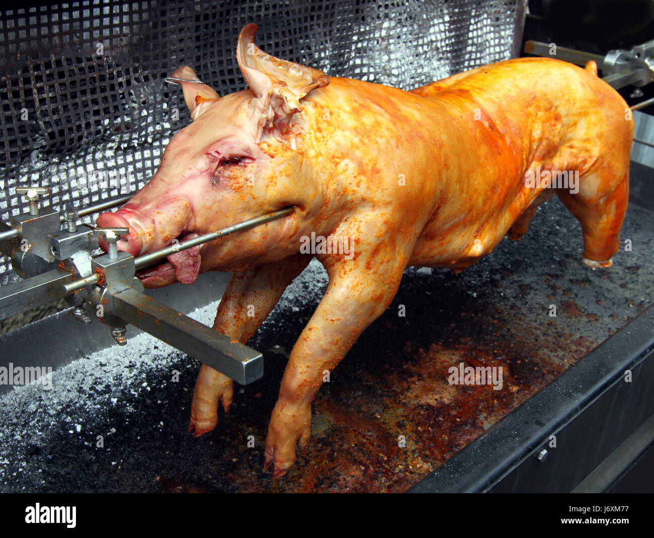 Grill Barbecue Grill Ferkel Bbq Bar-b-Q Spanferkel Schweinefleisch Schwein Grill  Grill Stockfotografie - Alamy