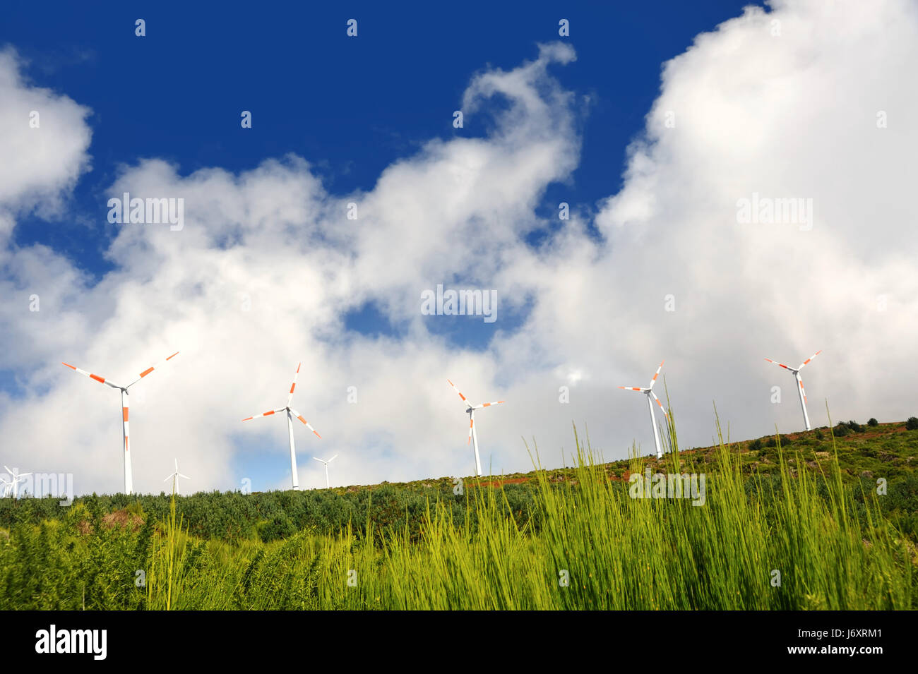 Windmühle Madeira Generator Landschaft Landschaft Landschaft Natur Turbinen blau Stockfoto