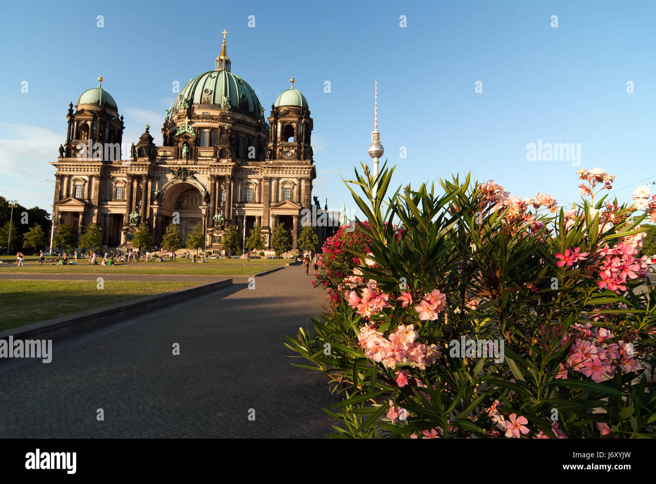 Berliner Dom mit Fernsehturm und Oleander v2 Stockfoto