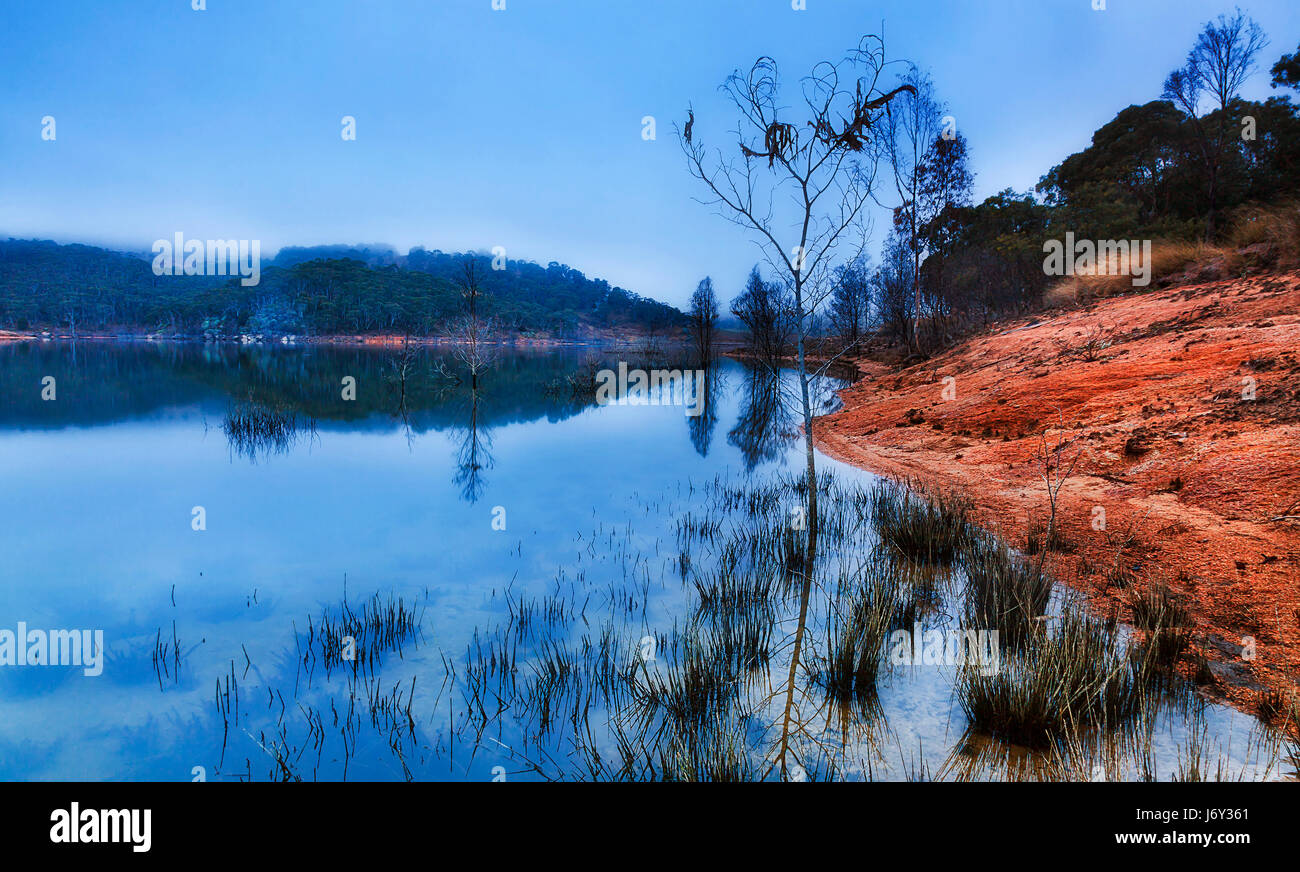 Kalte blaue nebligen Sonnenaufgang über dem See Lyell in Blue Mountains Gebiet von New South Wales, Australien. Lehm-Boden-Ufer und Unterwasserpflanzen, umgeben von Hügeln, Kijiji re Stockfoto