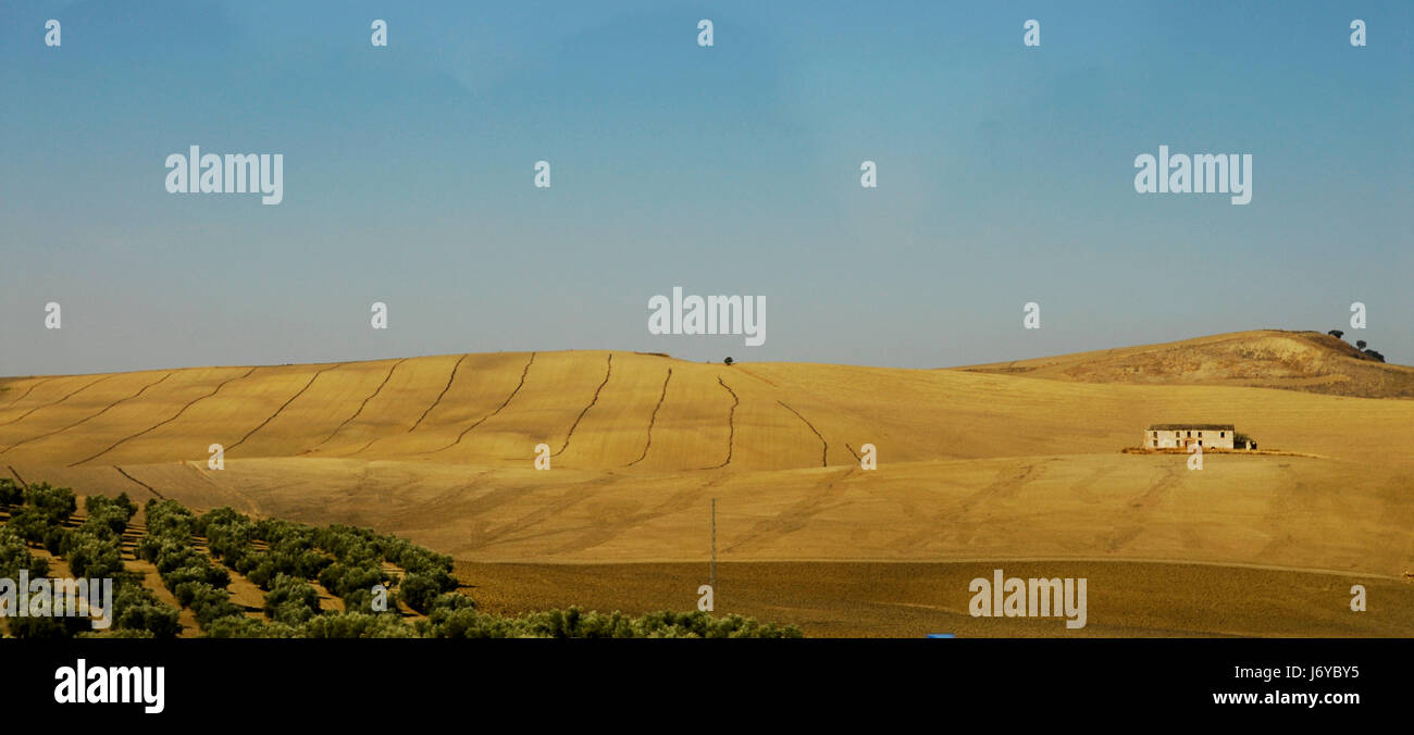 weite Felder Stockfoto