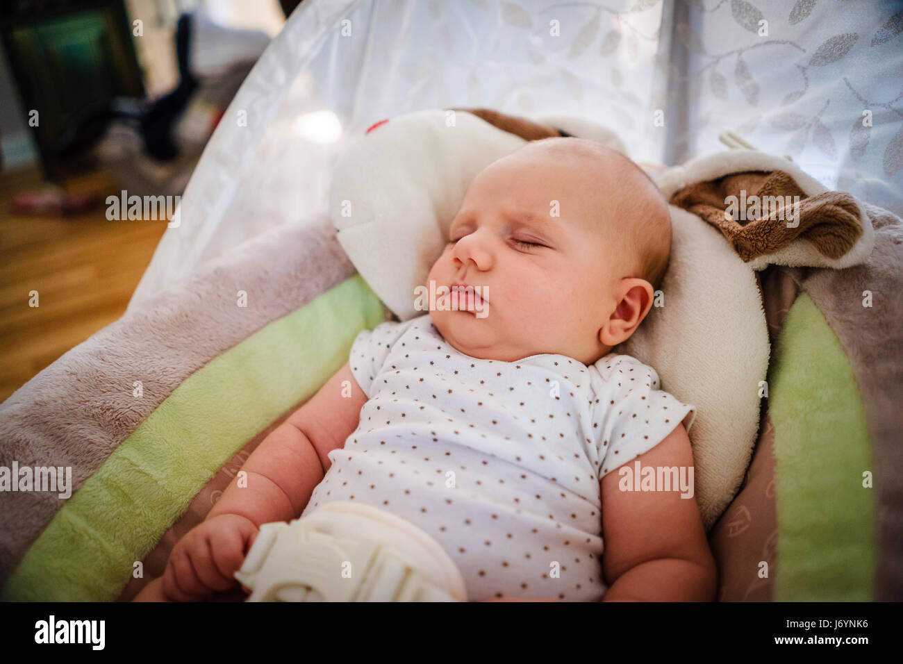 Babyjungen schlafen in einer Babywippe Stockfoto