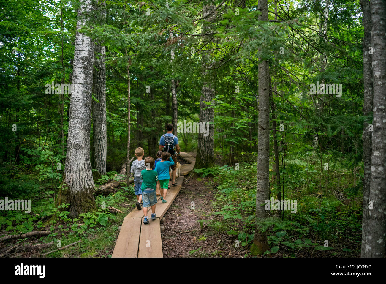 Vater von vier Kindern, die durch einen Wanderweg im Wald wandern Stockfoto