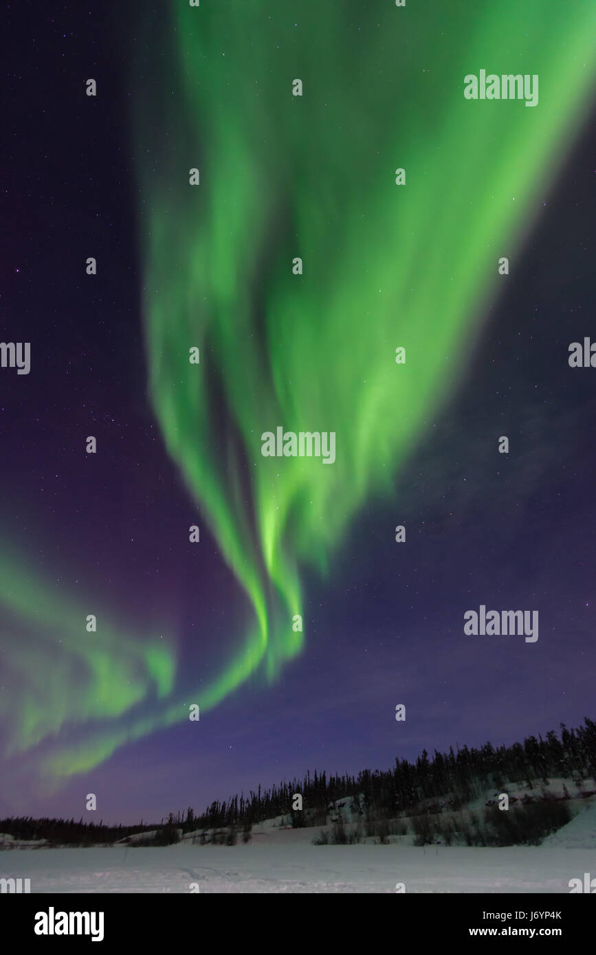 Nordlicht, Yellowknife, Northwest Territories, Kanada Stockfoto
