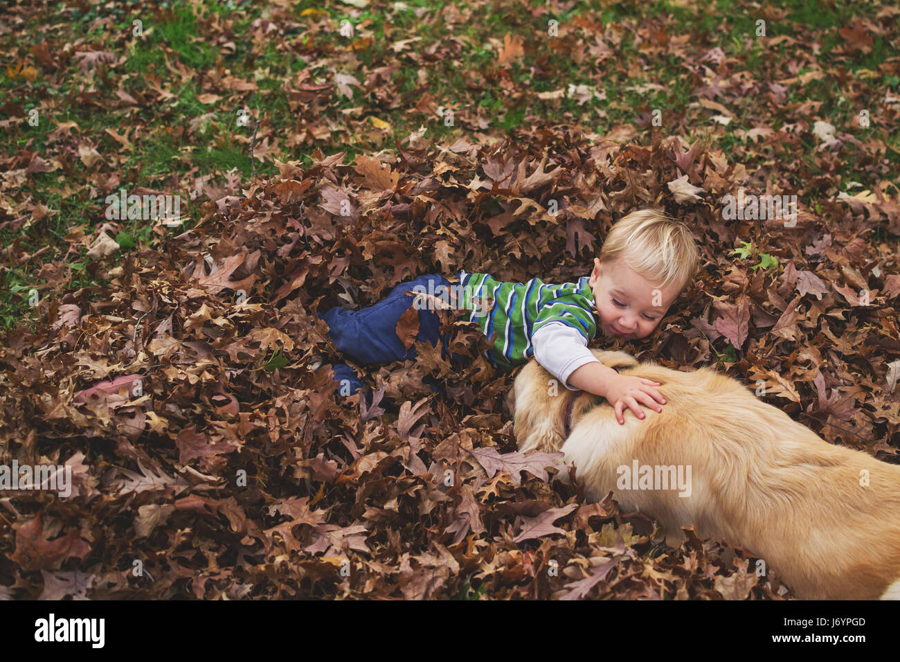 Junge liegend im Herbstlaub mit golden Retriever Hund spielen Stockfoto