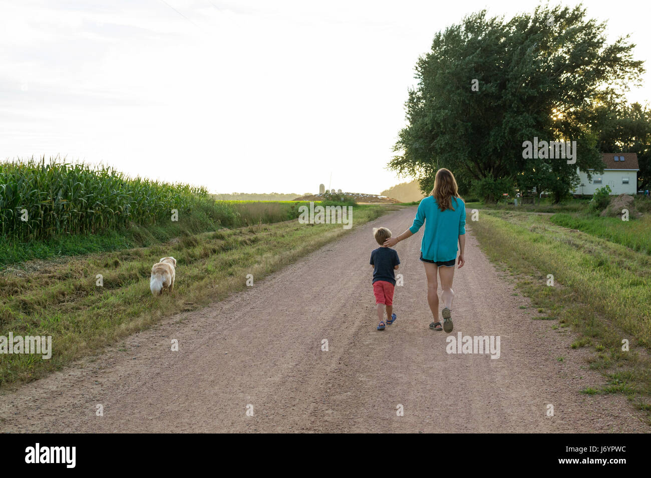 Mutter und Sohn zu Fuß auf der Straße mit einem golden Retriever Hund Stockfoto