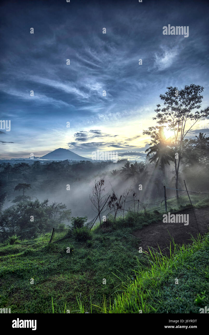 Morgen Landschaft, Ubud, Bali, Indonesien Stockfoto