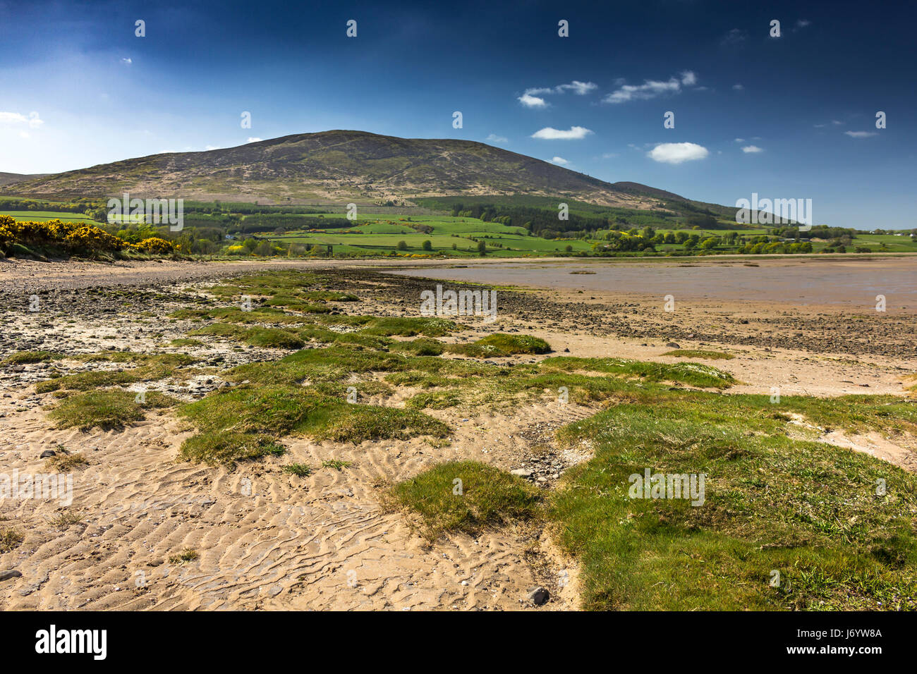 Carsethorn Strand und Criffel an einem sonnigen Frühlingstag mit Vegetation im Vordergrund. Dumfries und Galloway Schottland. Stockfoto