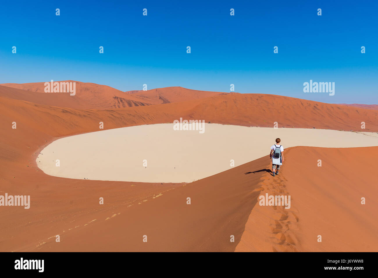 Touristen zu Fuß auf den malerischen Dünen von Sossusvlei, Namib-Wüste Namib-Naukluft-Nationalpark, Namibia. Abenteuer und Entdeckungen in Afrika. Stockfoto