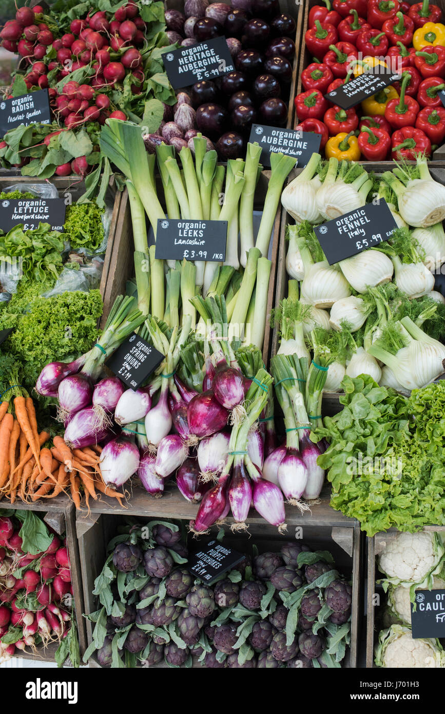 Bio-Gemüse zum Verkauf an Daylesford Organic farm Shop Sommerfest. Daylesford, Cotswolds, Gloucestershire, England Stockfoto