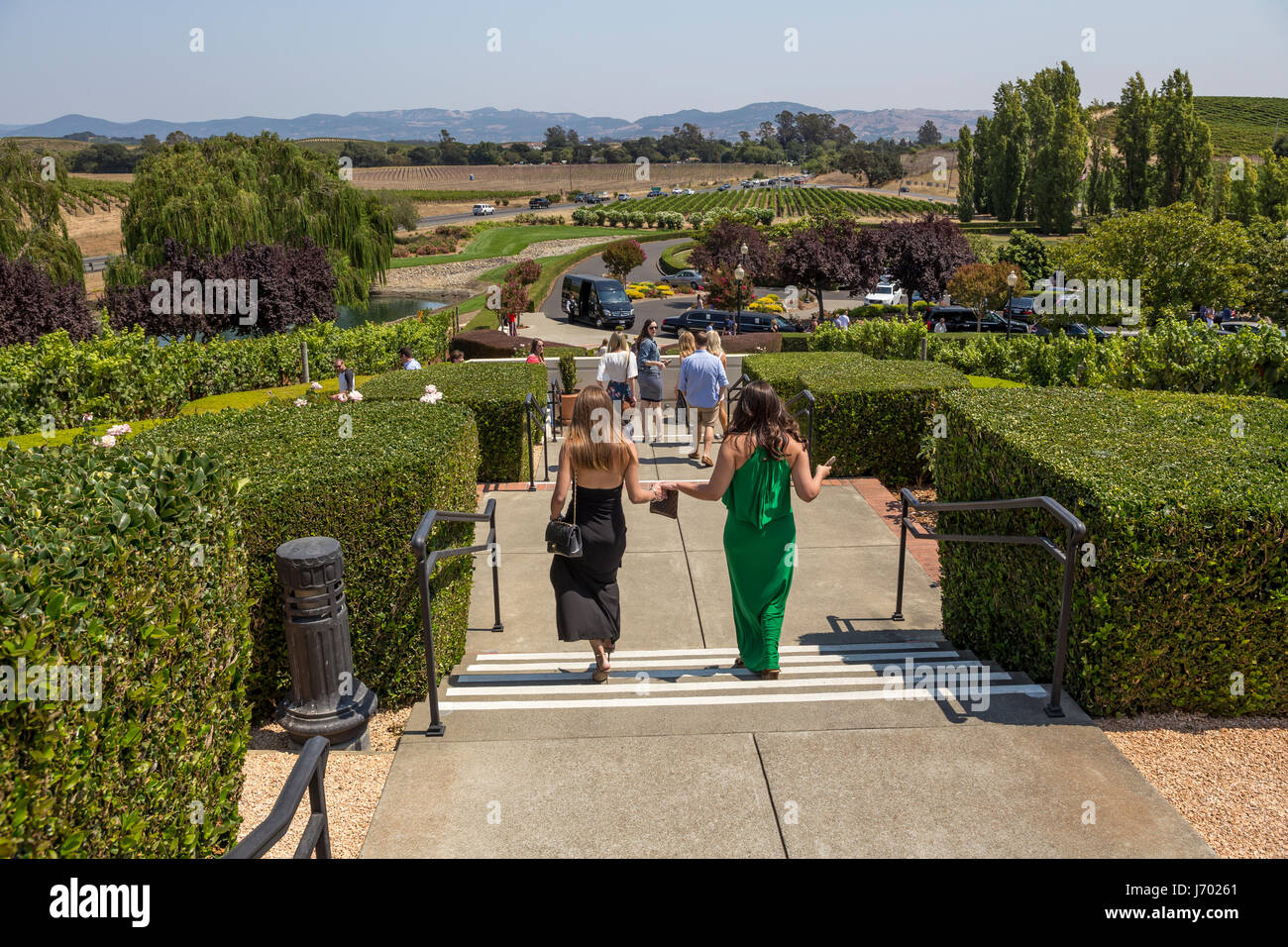 Touristen, Besucher, Domaine Carneros Napa, Napa Valley, Napa County, California, Vereinigte Staaten von Amerika Stockfoto