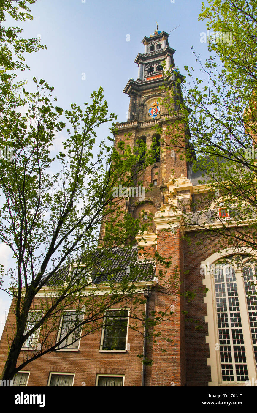 Westerkerk Kirche Turm in Amsterdam Stockfoto