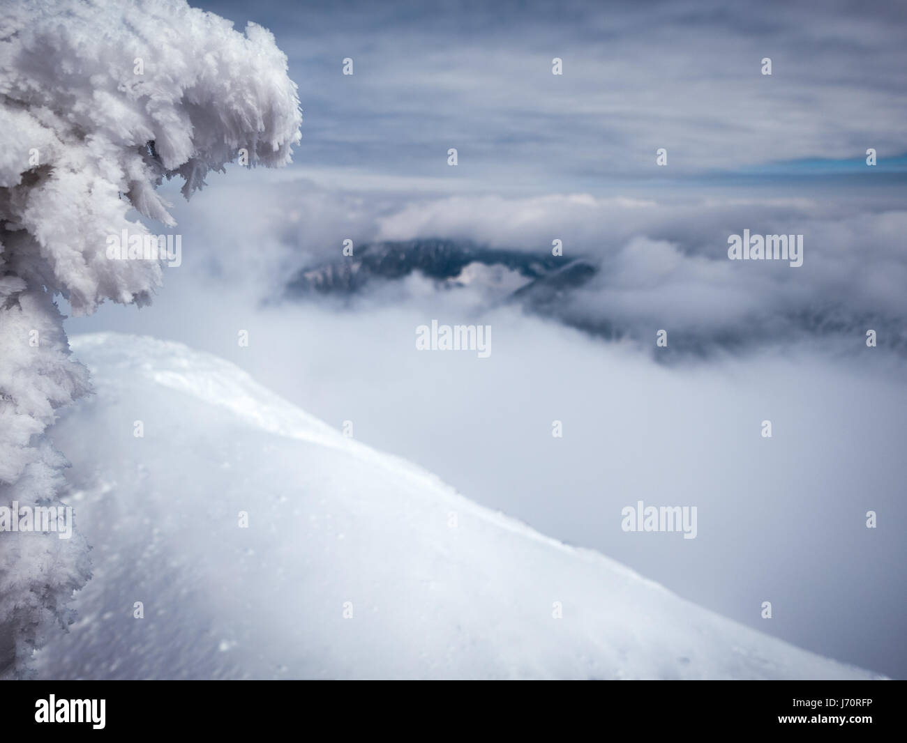 Höchste Punkte der Niederen Tatra - Chopok Peak und Dumbier Peak (Slowakei). Wunderschönen Winterbergen Landschaft über den Wolken. Stockfoto