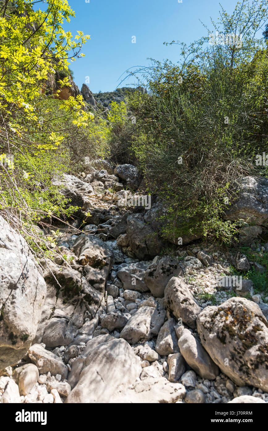 Trockenes Flussbett mit Steinen und Felsen in Analusia in der Nähe von zuheros Stockfoto