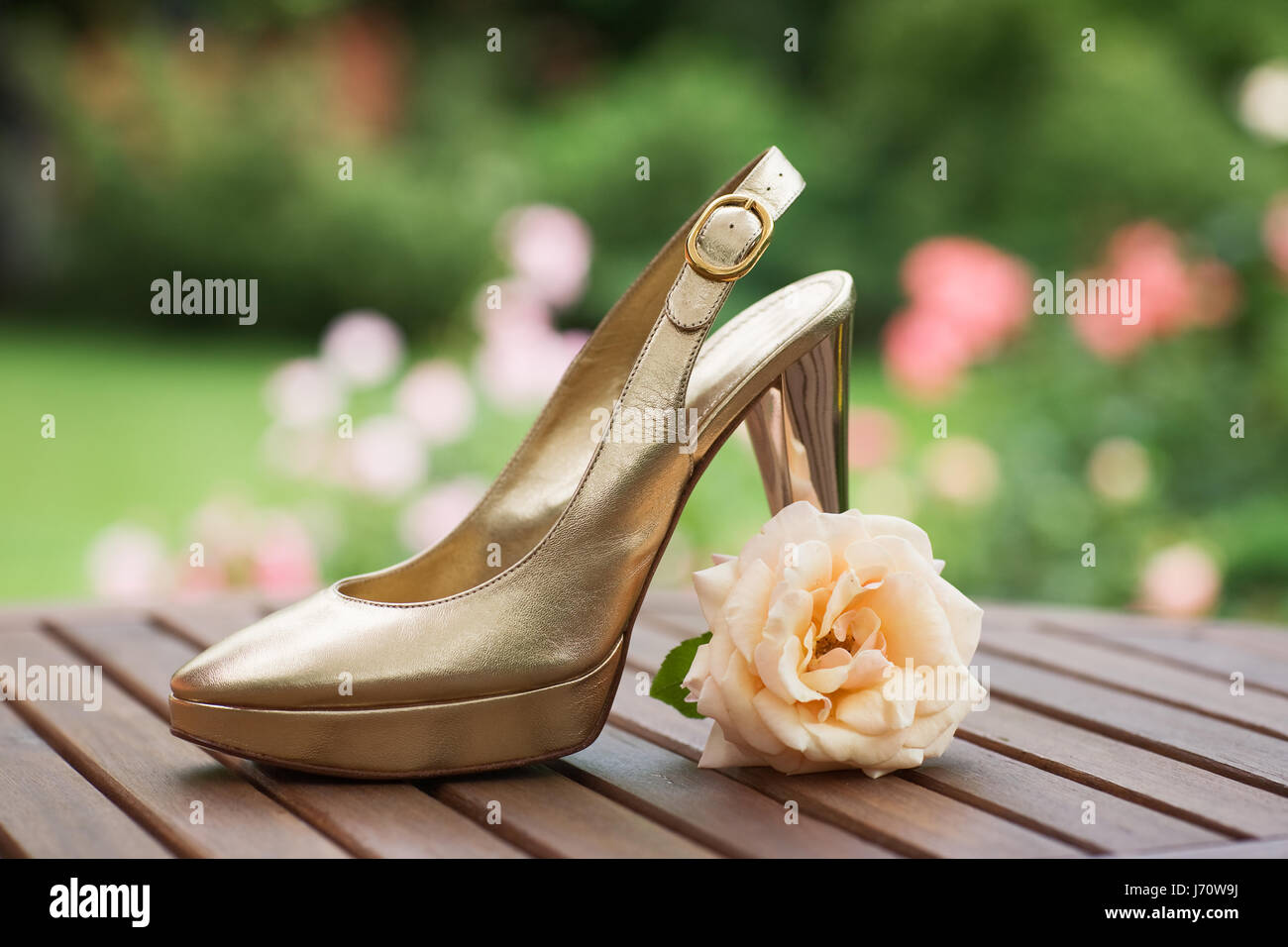 Goldene Schuh und rose Stockfoto