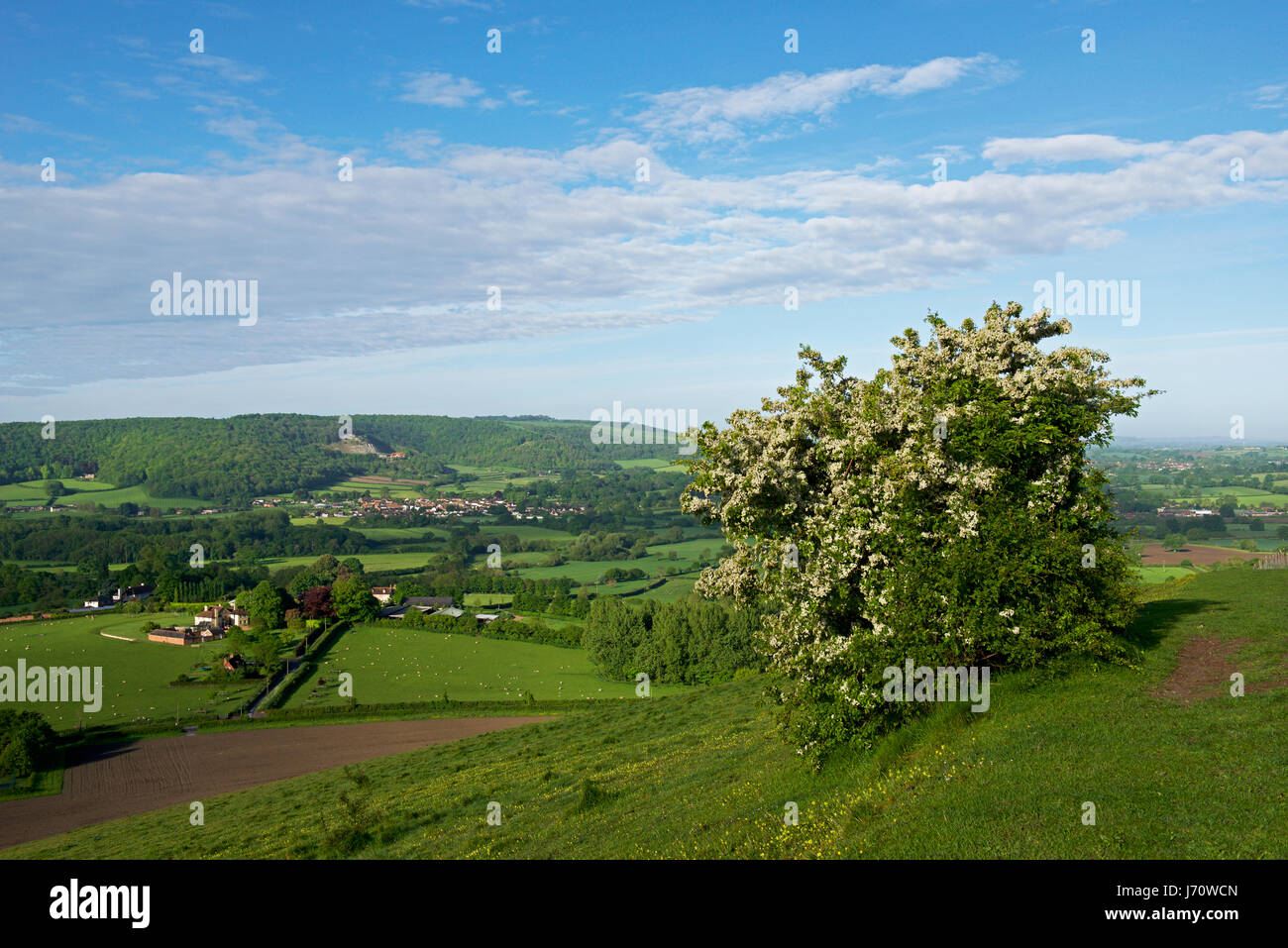 Das Dorf Shillingstone, in Blackmore Vale, North Dorset, England Großbritannien Stockfoto