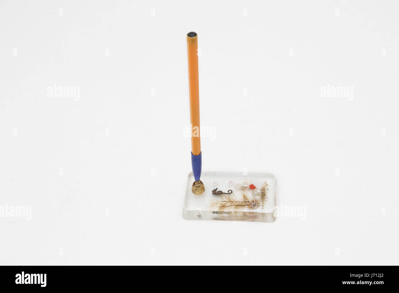 BIC Kugelschreiber in Stifthalter mit Seepferdchen und Muscheln im Inneren Stockfoto