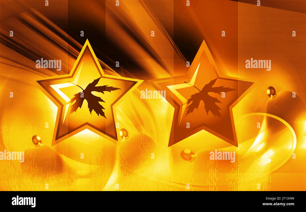 Emblem-Symbol-Tasten Schlüssel Piktogramm Symbol Piktogramm Handel Symbol Sterne Blatt Stockfoto