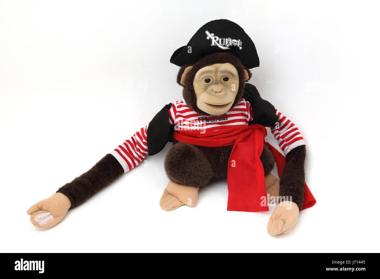 Ruhof Affe verkleidet als Pirat Handpuppe Stockfoto