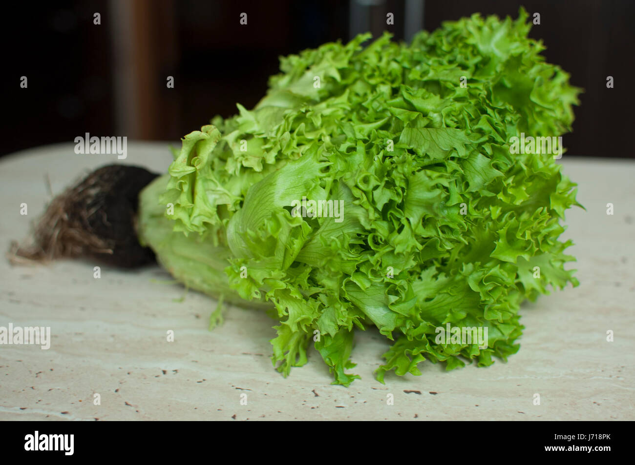 Haufen von rohen Bio grüne Frisee Salat mit Wurzeln auf Holztisch. Selektiven Fokus. Stockfoto