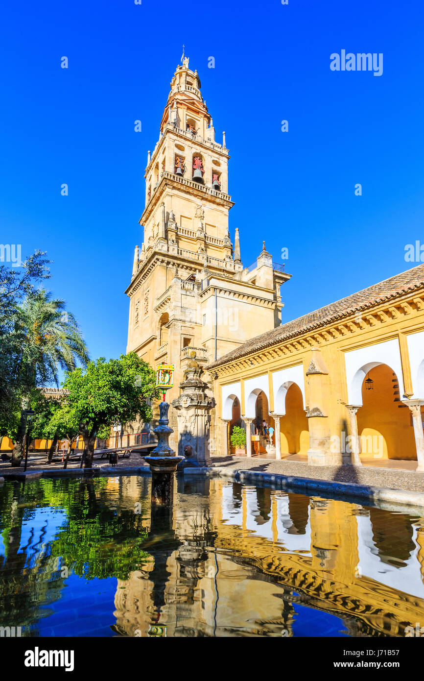 Córdoba, Spanien. Glockenturm an der Mezquita Moschee-Kathedrale von Court von Orangen. Stockfoto