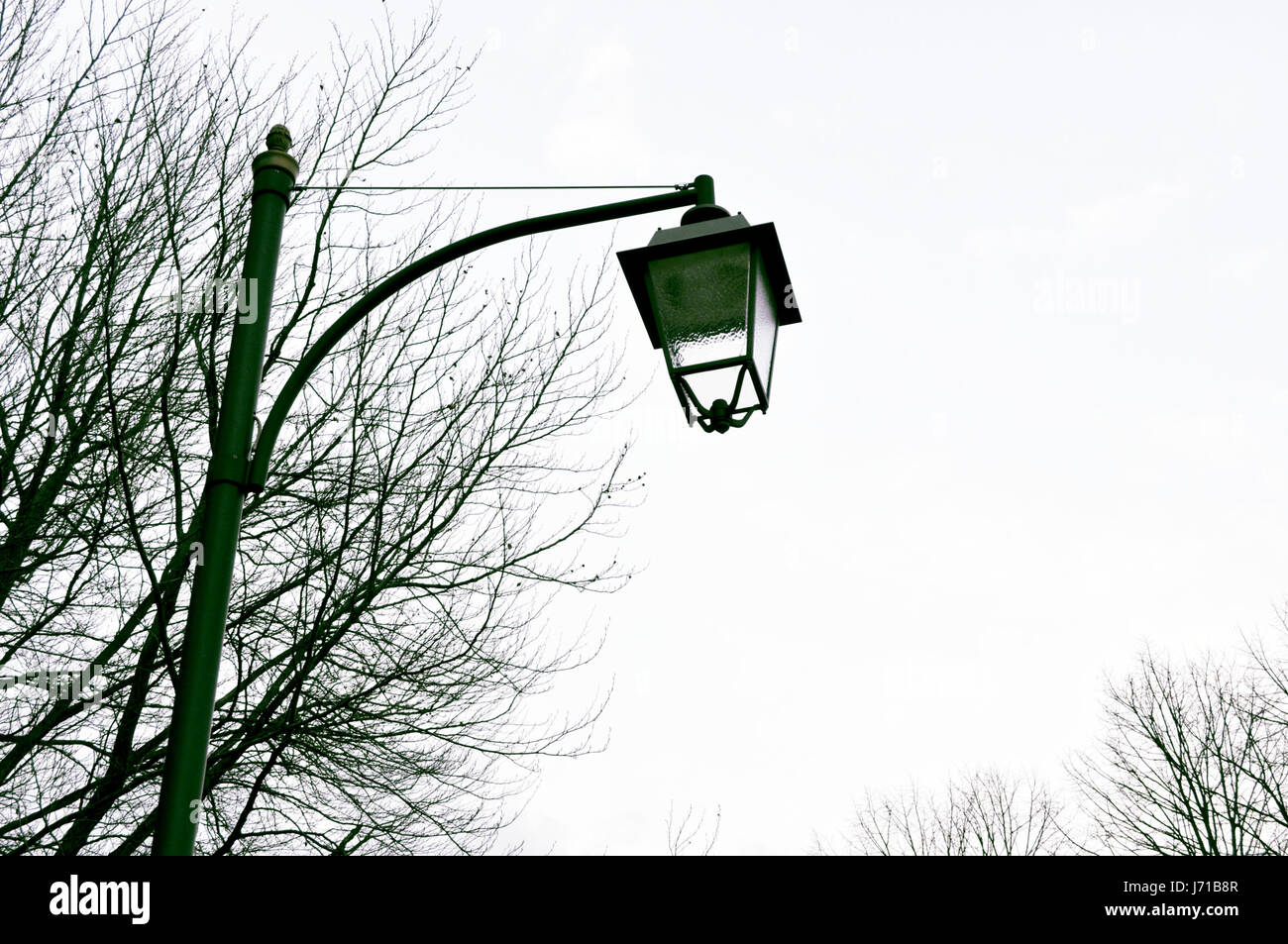 Vintage Shiner Lampe Koryphäe Retro-Straße Straße Licht Baum Bäume vintage Stockfoto