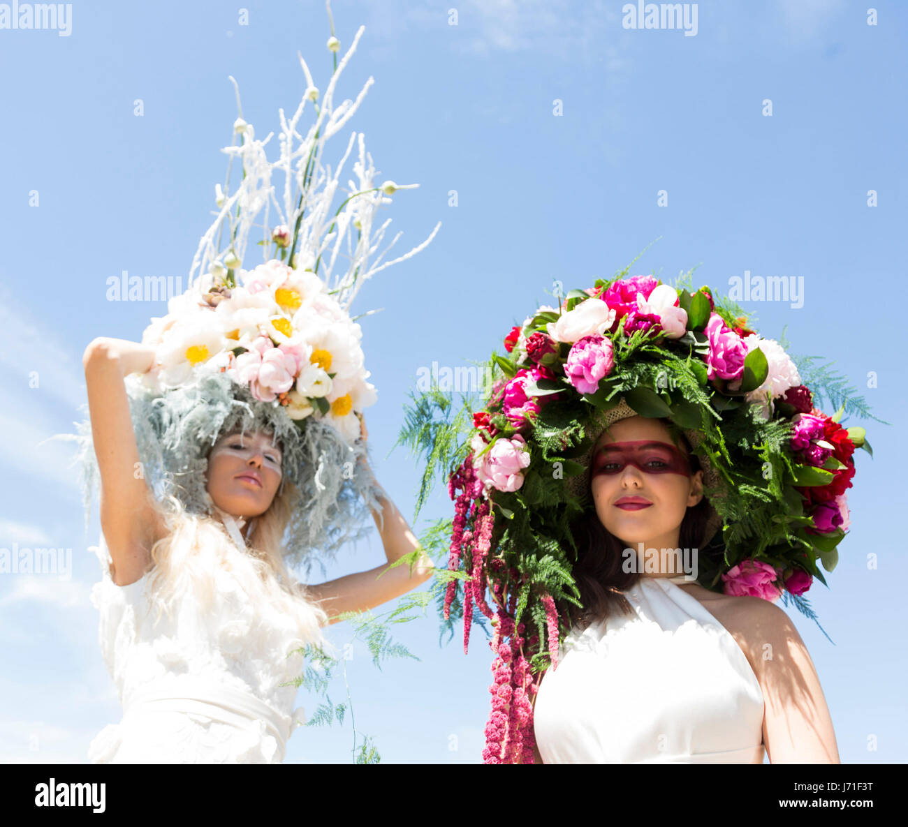 London, UK. 22. Mai 2017. Zwei Modelle tragen maßgeschneiderte floralen Kopfschmuck byy Designer Kate Halfpenny, Primrose Hall.  Pressetag auf der 2017 RHS Chelsea Flower Show morgen für das Publikum öffnet. Foto: Lebendige Bilder/Alamy Live-Nachrichten Stockfoto