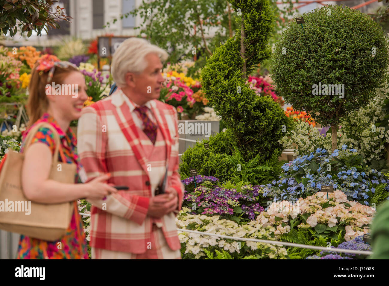 London, UK. 22. Mai 2017. Die Chelsea Flower Show organisiert von der Royal Horticultural Society mit M & G als MAIN Sponsor für das letzte Jahr. Bildnachweis: Guy Bell/Alamy Live-Nachrichten Stockfoto