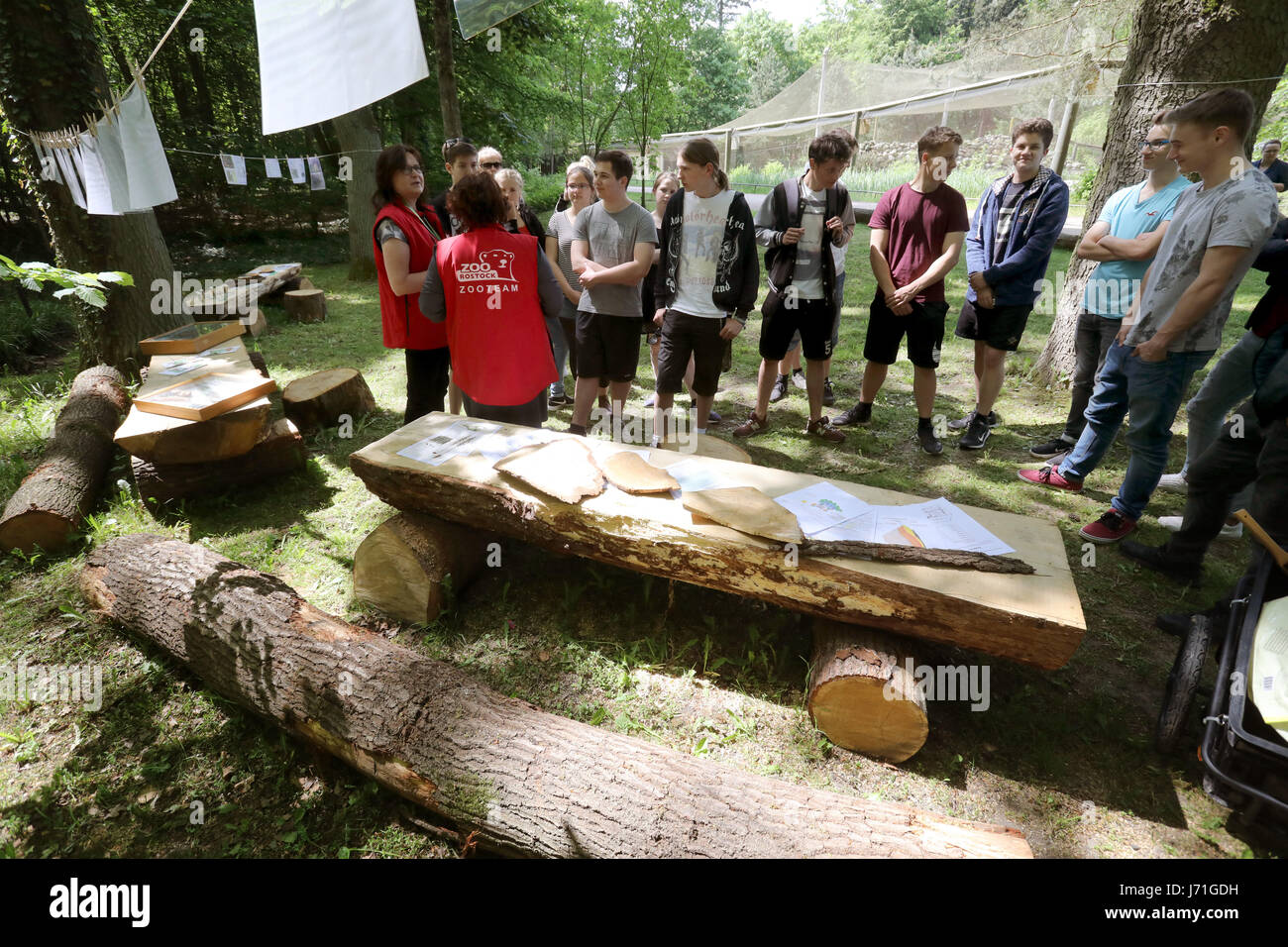 Rostock, Deutschland. 22. Mai 2017. Jenaplanschule Rostock Schule, unter der Aufsicht von der Zooschule werden über totes Holz nach der Eröffnung des "grünen Klassenzimmers" im Zoo in Rostock, Deutschland, 22. Mai 2017 unterrichtet. 22. Mai begehen internationalen Tag für die biologische Vielfalt 2017. Foto: Bernd Wüstneck/Dpa-Zentralbild/ZB/Dpa/Alamy Live News Stockfoto