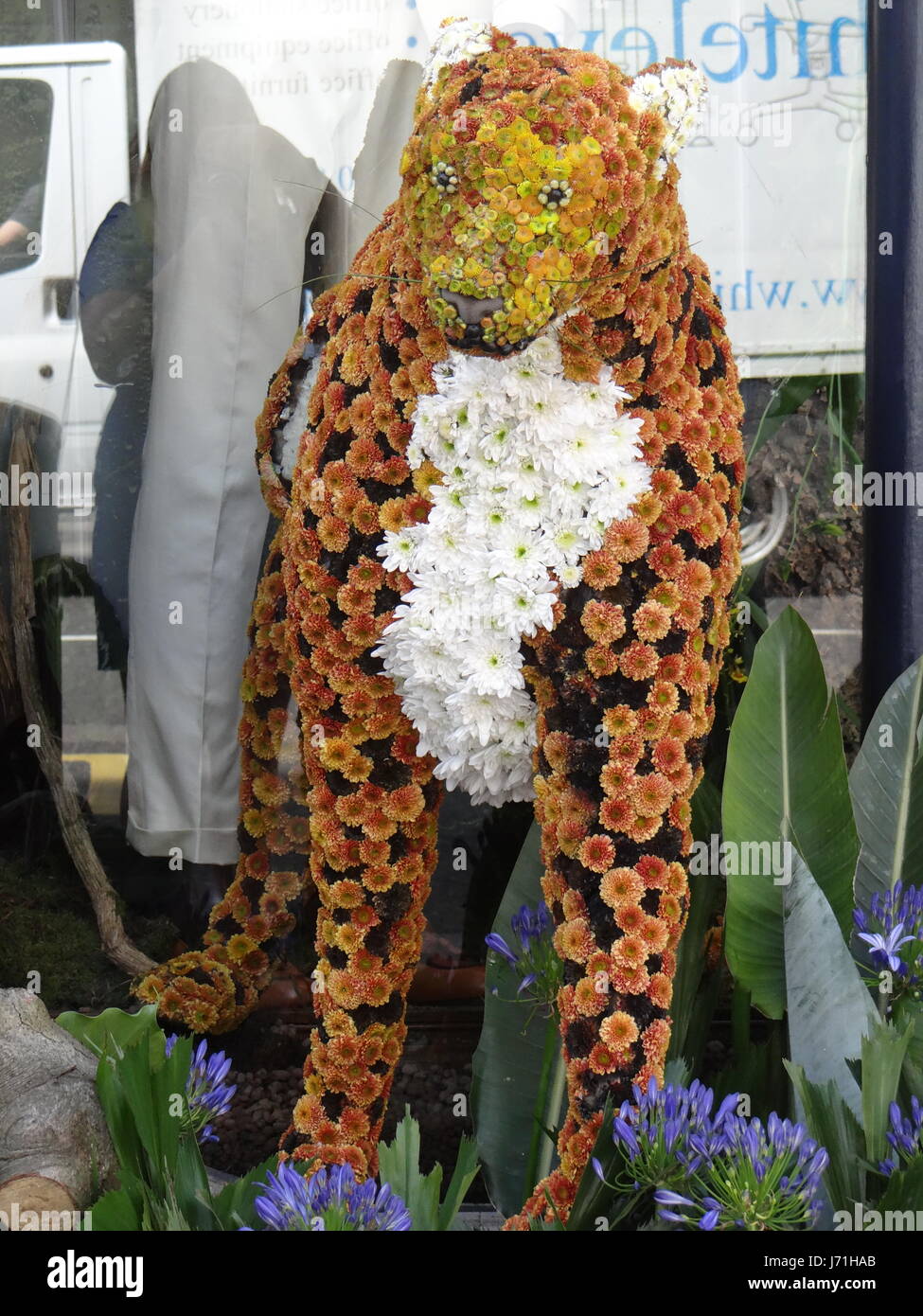 Chelsea, London, UK. 22. Mai 2017. Lebensgroße Blumen Tiere durchstreifen Chelseas Straßen, einschließlich der riesigen Elefanten, majestätischen Löwen, Nashörner, Zebras und Krokodile beim FC Chelsea in Blüte Floral Safari, London, UK Credit: Nastja M/Alamy Live News Stockfoto