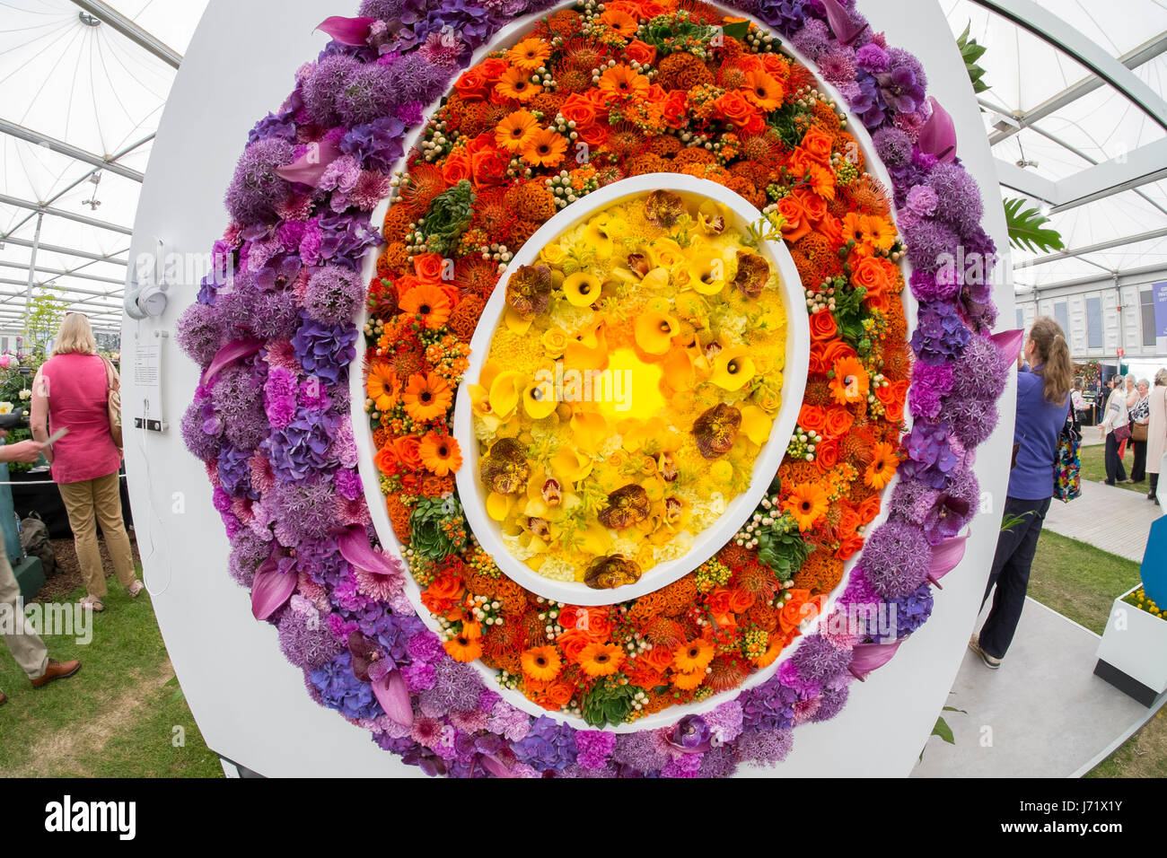 Das Royal Hospital Chelsea, London, UK. 23. Mai 2017. Der jährliche Höhepunkt des gärtnerischen Kalenders, der RHS Chelsea Flower Show, öffentlichen Eröffnungstag der Welt berühmten Gartenschau mit großen Menschenmengen besucht. Bildnachweis: Malcolm Park Leitartikel/Alamy Live-Nachrichten. Stockfoto