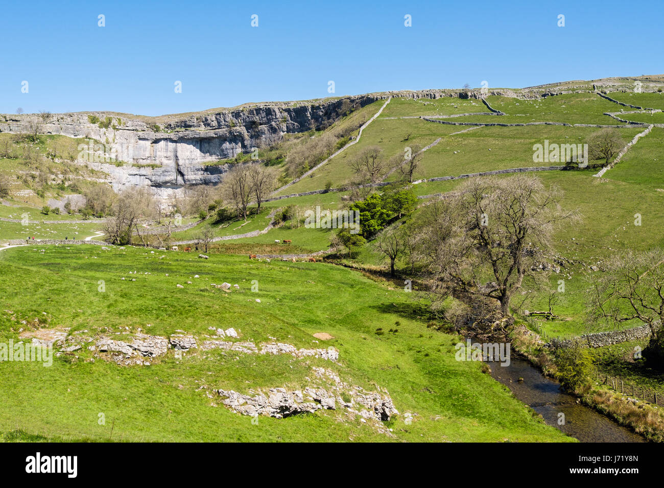 Blick entlang Malham Beck und Landschaft Malham Cove. Malham, Malhamdale, Yorkshire Dales National Park, Yorkshire, England, Vereinigtes Königreich, Großbritannien Stockfoto