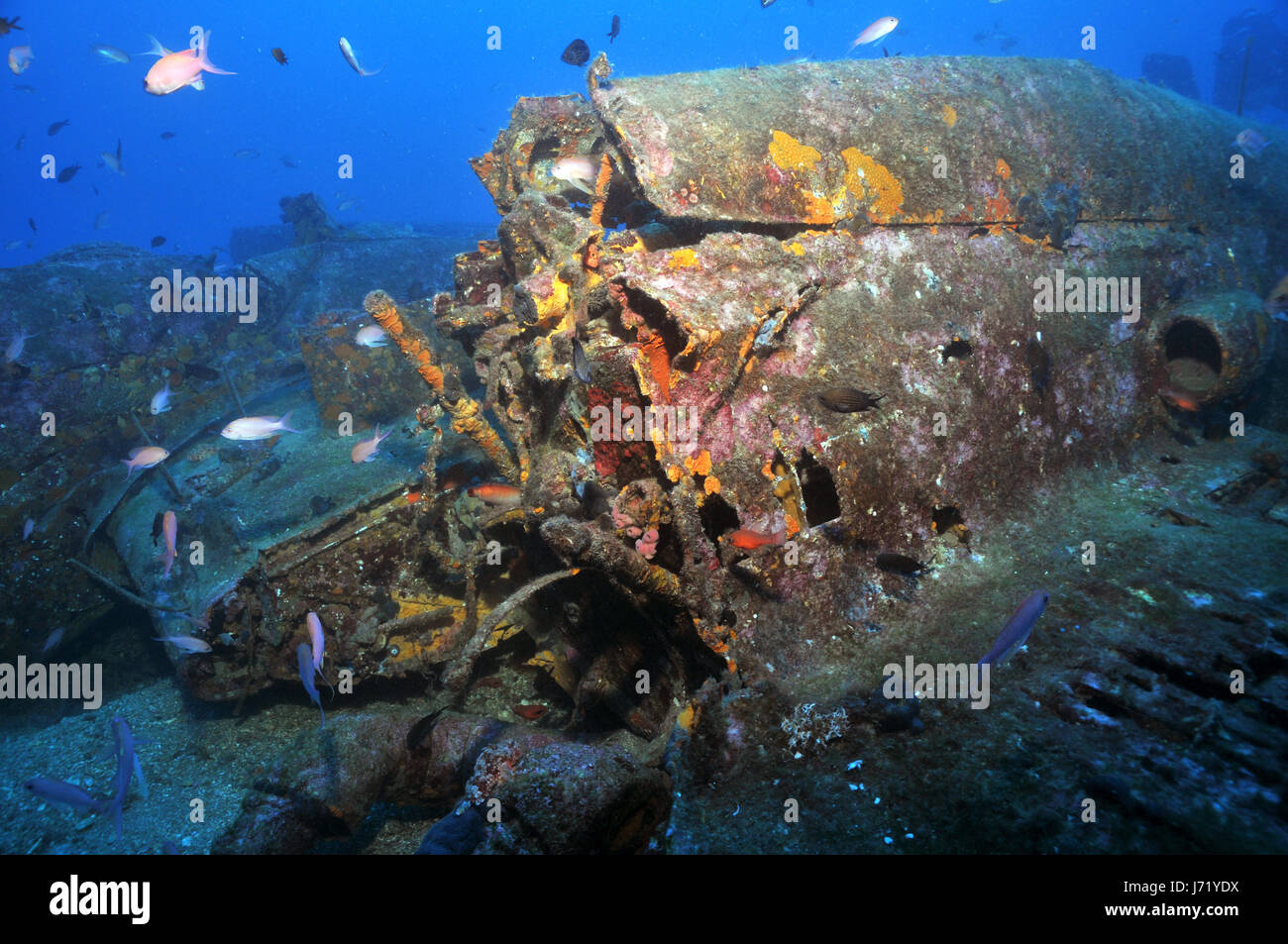 Flügel Unterwasser Wrack propellergetriebene Flugzeug Flügel Wasser mediterrane Salz Stockfoto