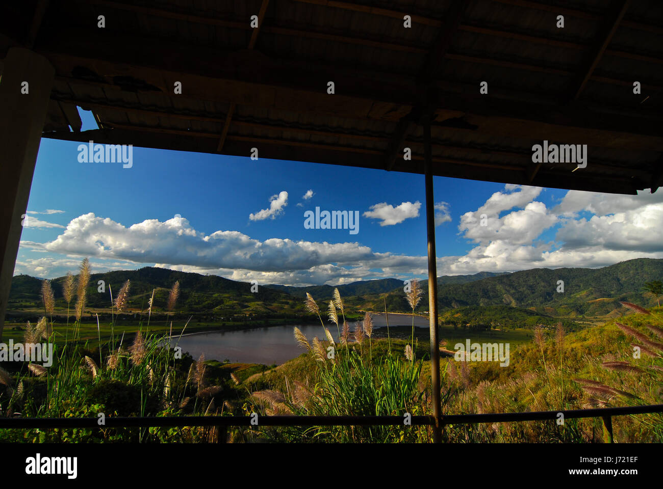 Wald-Flusslandschaft Stockfoto