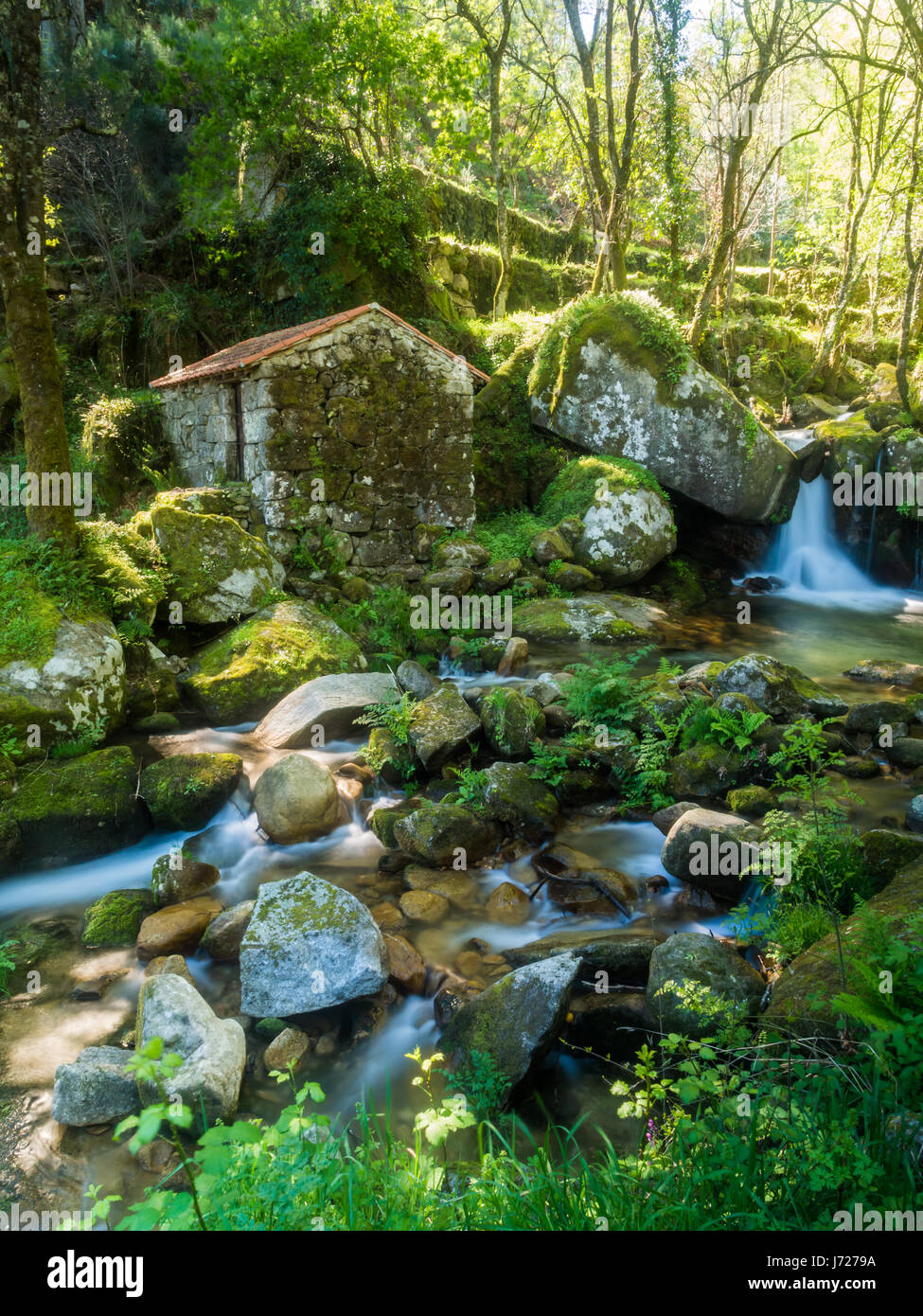 Verlassenen kleinen Haus oder Mühle im Wald in Vale Douro, Portugal. Stockfoto